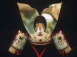 image from gallery