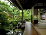 image from gallery